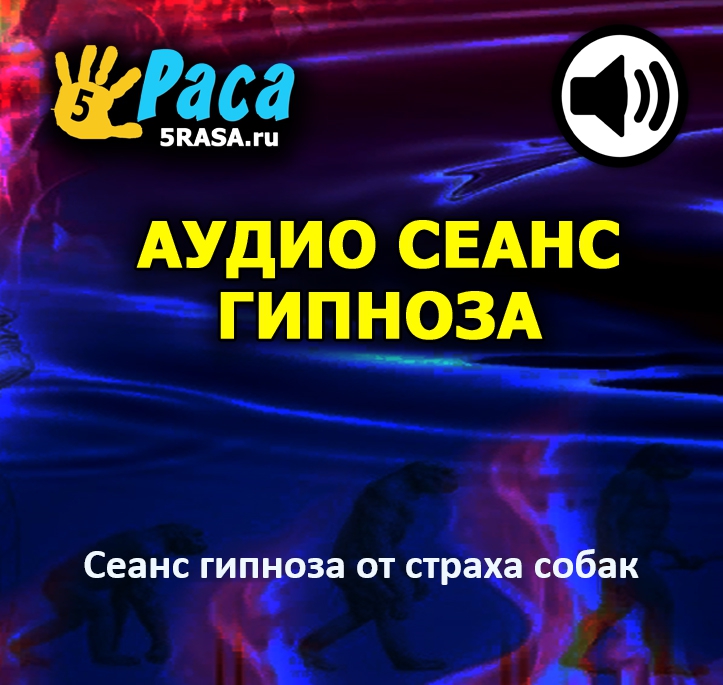 Сеанс научит ваше подсознание по-новому реагировать на присутствие собаки